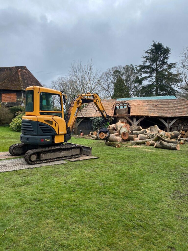 This is a photo of tree felling being carried out in Gillingham. All works are being undertaken by Gillingham Tree Surgeons